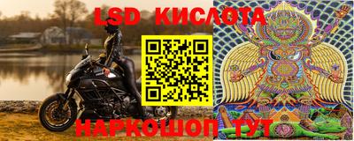 винт Будённовск