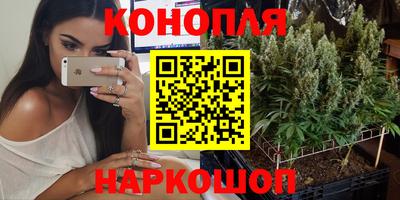 винт Будённовск