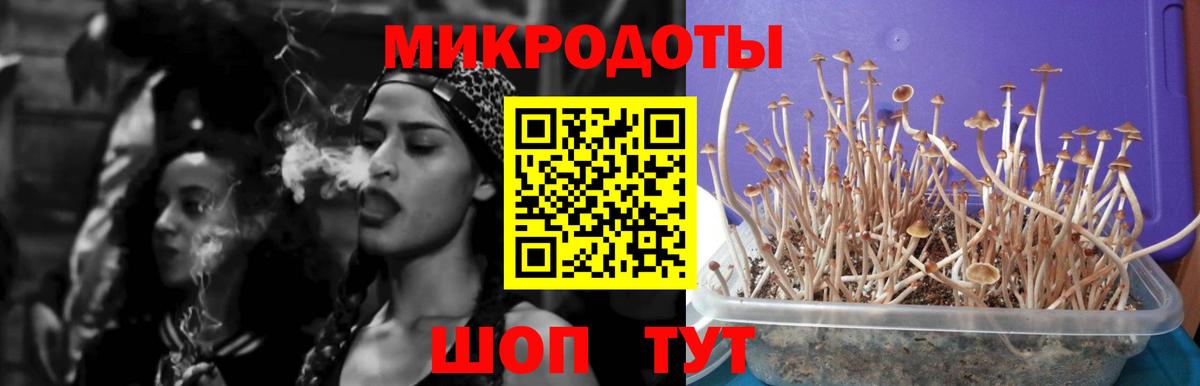 Обь  Псилоцибиновые грибы GOLDEN TEACHER  Псилоцибиновые грибы GOLDEN TEACHER  Вход с VPN 